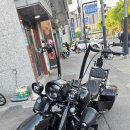 21년 30인치 로드킹베거 팝니다(9500km) 이미지
