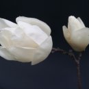 문현3동행정복지센터 이미지