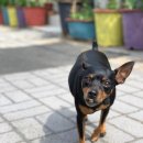 새몰경로당 이미지