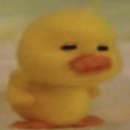 오케바리 이미지