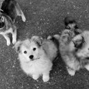 어덕마을로 이미지