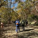 조계산 도립공원 선암사 주차장 화장실 이미지