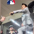 Dragon Park 이미지