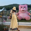 스탠다드브릿지 이미지