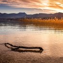 마메모메한의원 이미지