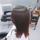 스텔라헤어 - 파주시 | 스텔라헤어
