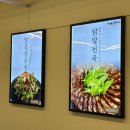 [영등포/양평동]선유도역 새로 오픈한 직장인 맛집, 가마솥닭한마리 선유도역점 리뷰