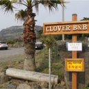 클로버비앤비 이미지