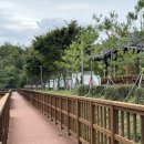 오토타운 | 경북 안동 임하호캠핑수상레저타운 주말 오토캠핑장 이용 후, 솔직하게 남겨보는 후기