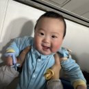 디데이호텔(D-day Hotel) | 6개월 아기와 우당탕탕 대만 타이중 여행 Day 1