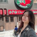 한밤의비어마차 | 후쿠오카 2박 3일 여행 (1) 경비, 나카스숙소 추천, 하카타 맛집