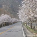 용문정 앞 이미지