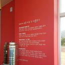 대관령전망대 이미지