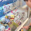 청원카 | 오키나와 북부 여행 1일차 | 청주 직항,에어로케이 후기,나하공항 렌터카 픽업,타코라이스 맛집 솔직후기