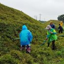 금척마을 이미지