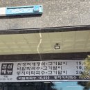 초원한우 | 어른들,아이들과 오기 좋은 신상 물왕리맛집 <초원>에서 한우요리 먹은 후기(+주차)