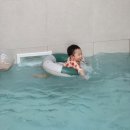 경주 독채 펜션 베리 키즈 풀빌라 역대급 만족 후기