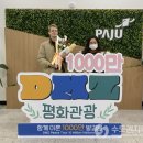 디엠지 이미지