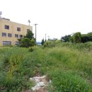 삼성 행정사/공인중개사 사무소 이미지