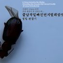 「곤충ノ파충」 '줄납작밑빠진먼지벌레' 암컷 정밀 관찰기 이미지
