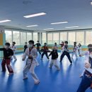 한국체대 가온 태권도 이미지