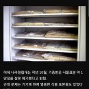 멸종한 식물 표본도 폐기해버려서 난리난 일본의 대학교 이미지