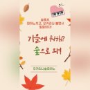숲오카리나교습소