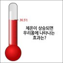 [몸]내몸의 ‘온도’를 알자 이미지