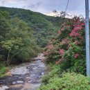 고비농장 이미지