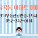 우정공인중개사사무소 이미지