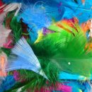 라인인 법과 행정 이미지