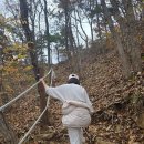 문수산 산림욕장 | 김포 문수산 가을 등산 후기 및 준비물