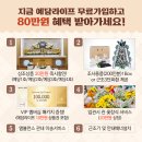 정선하늘터 이미지