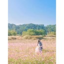 혜자