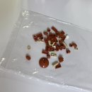 트로파 | 요즘 초등학생들 사이에 인기가 많은 [이탈리안브레인롯]레고 조립 초등학생 선물 후기