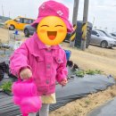 아이가 웃으면서 등원하는 곳, 본오3동어린이집 리틀창조 어린이집 보내면서 느낀 후기