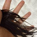 부시시 | 머릿결 좋아지는 노워시 트리트먼트 탈색 염색모 부시시한 머리 솔직후기