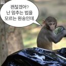 호시탐탐 이미지