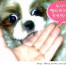 홍 - 남구 문현금융로 40 | 홍