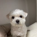 봉곡동107 이미지