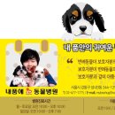 보성동물병원 이미지