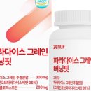 버닝핏 네이버블로그