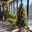 동산프라스틱 | 서울근교 포천 서운동산에서 딸기체험