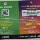 멍뭉이 | 🐾 청주애견미용잘하는곳 허그멍뭉이 가격 다녀온후기