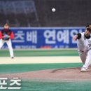 내츄럴 라파 이미지