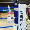 엘리트 복싱 이미지