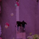 벨비앙펜션 이미지