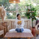 서호농장 | 제주 귤따기체험 카페 유럽감성 제주에인감귤밭 솔직후기