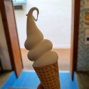 게으른고양이 이미지