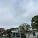 바이못 | 제주 한림 금오름, 목장 근처 카페 l 바이못 (BY MOT) +애견동반 후기!